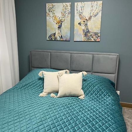 Apartament Sosnowy Zakatek Gliwice Ngoại thất bức ảnh