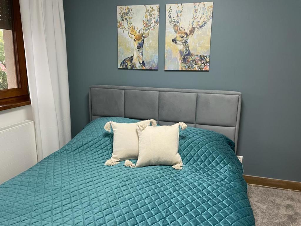 Apartament Sosnowy Zakatek Gliwice Ngoại thất bức ảnh